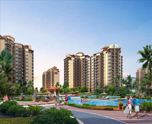 金凤新楼盘开盘信息