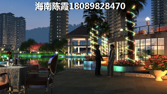 天鹅湖小镇C户一层平面图 一居  户型图